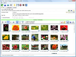 دانلود دسته جمعی تصاویر Bulk Image Downloader 4.20.0.1