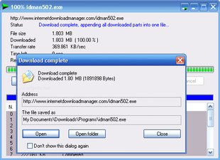 مدیریت دانلودها Internet Download Manager