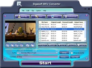 مبدل Bigasoft MKV Converter