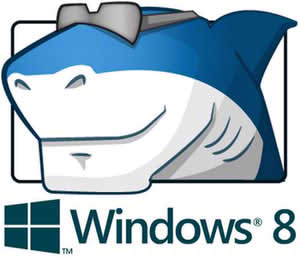 کدک های ویندوز 8 Windows 8 Codecs